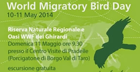 World Migratory Bird Day ai Ghirardi