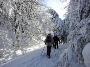 1 marzo 2015 - CON LE CIASPOLE VERSO IL MONTE PENNA