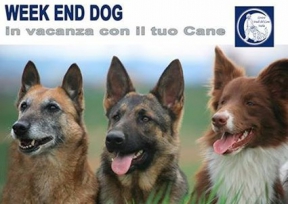Week End Dog - in vacanza con il tuo cane 31 Luglio 1, 2 Agosto