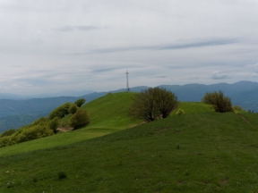 Escursione guidata sul monte Pelpi