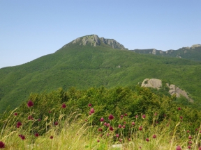 I VESPERTILLI DEI MONTI GROPPO E GROPPETTO - Trekking
