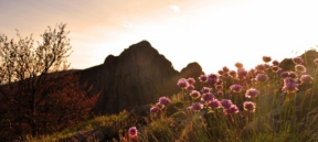 Trekking Guidato: Tramonto sul sentiero segreto del Monte Penna