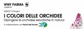 I COLORI DELLE ORCHIDEE - Escursione dedicata al disegno naturalistico dal vero