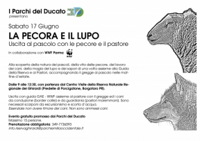 LA PECORA E IL LUPO Uscita al pascolo con le pecore e il pastore